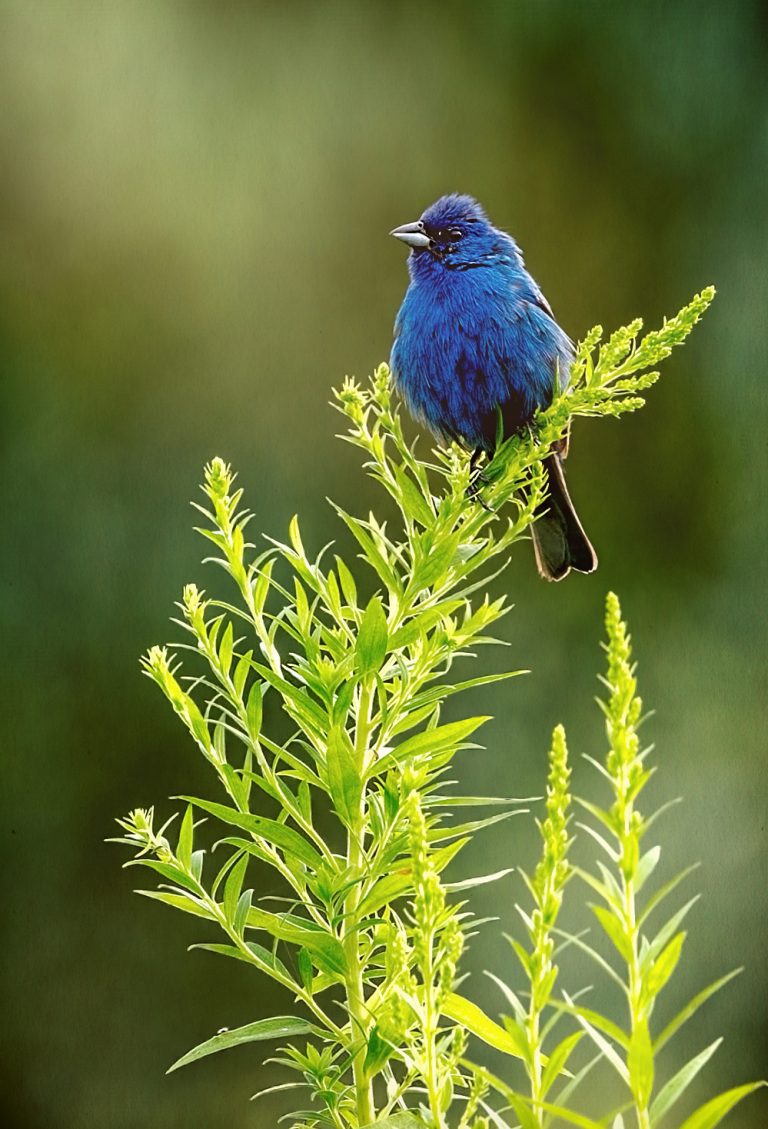 History of Hardwick Hardwick Township