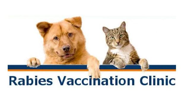 Rabies Clinic